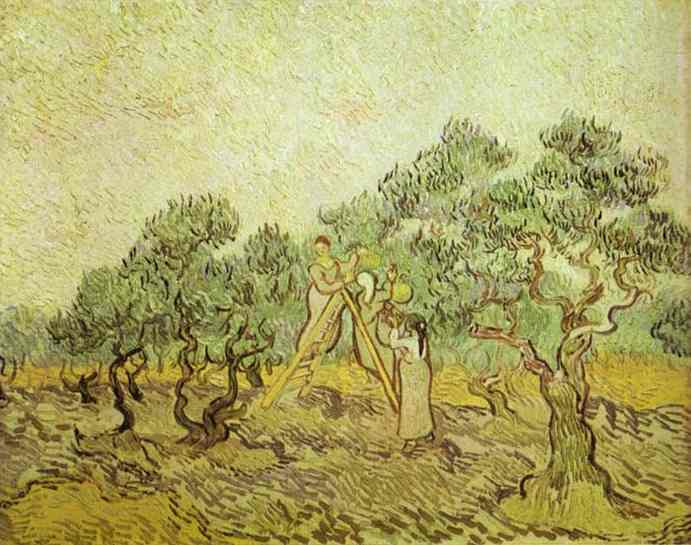 The Olive Orchard — Vincent Willem Van Gogh