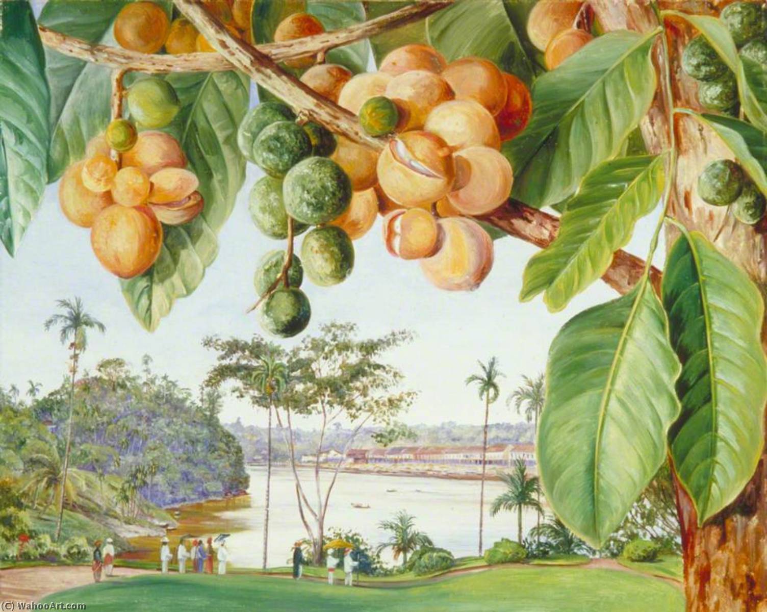 View From The Istana, Sarawak, Borneo — Marianne North