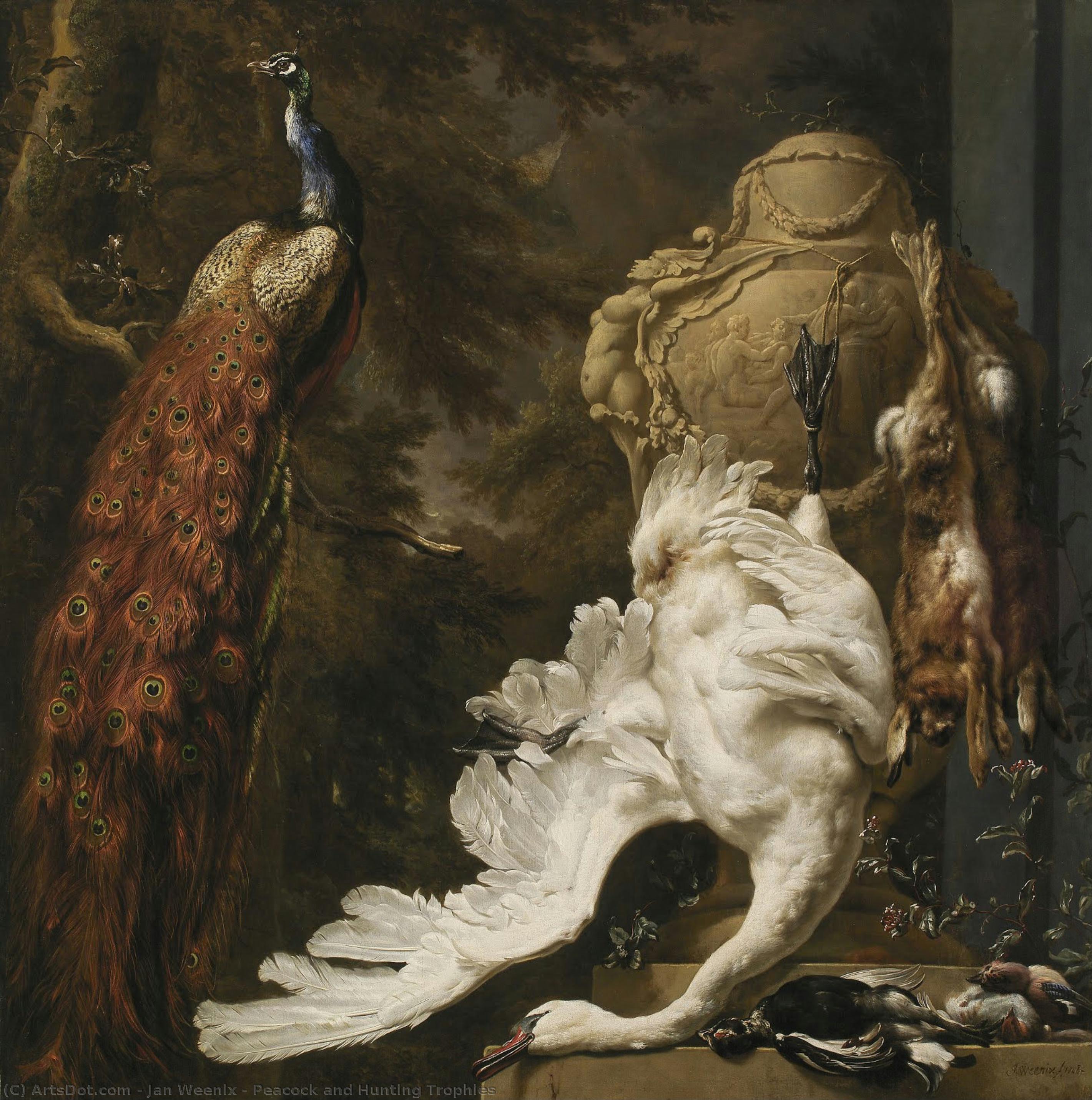 Peacock And Hunting Trophies — Jan Weenix