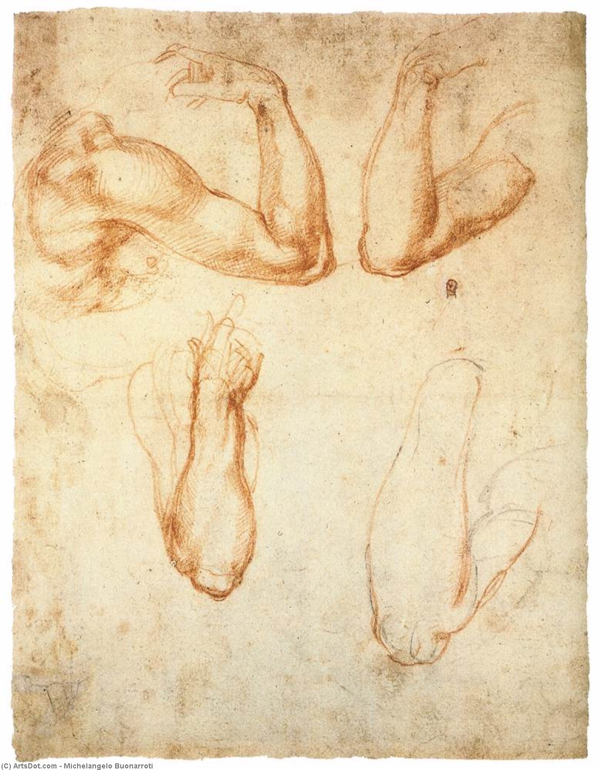 Retrato De Una Mujer (verso) — Miguel Ángel