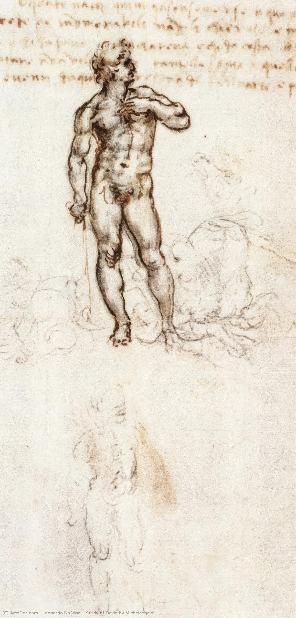 Study Of David By Michelangelo — Leonardo Da Vinci