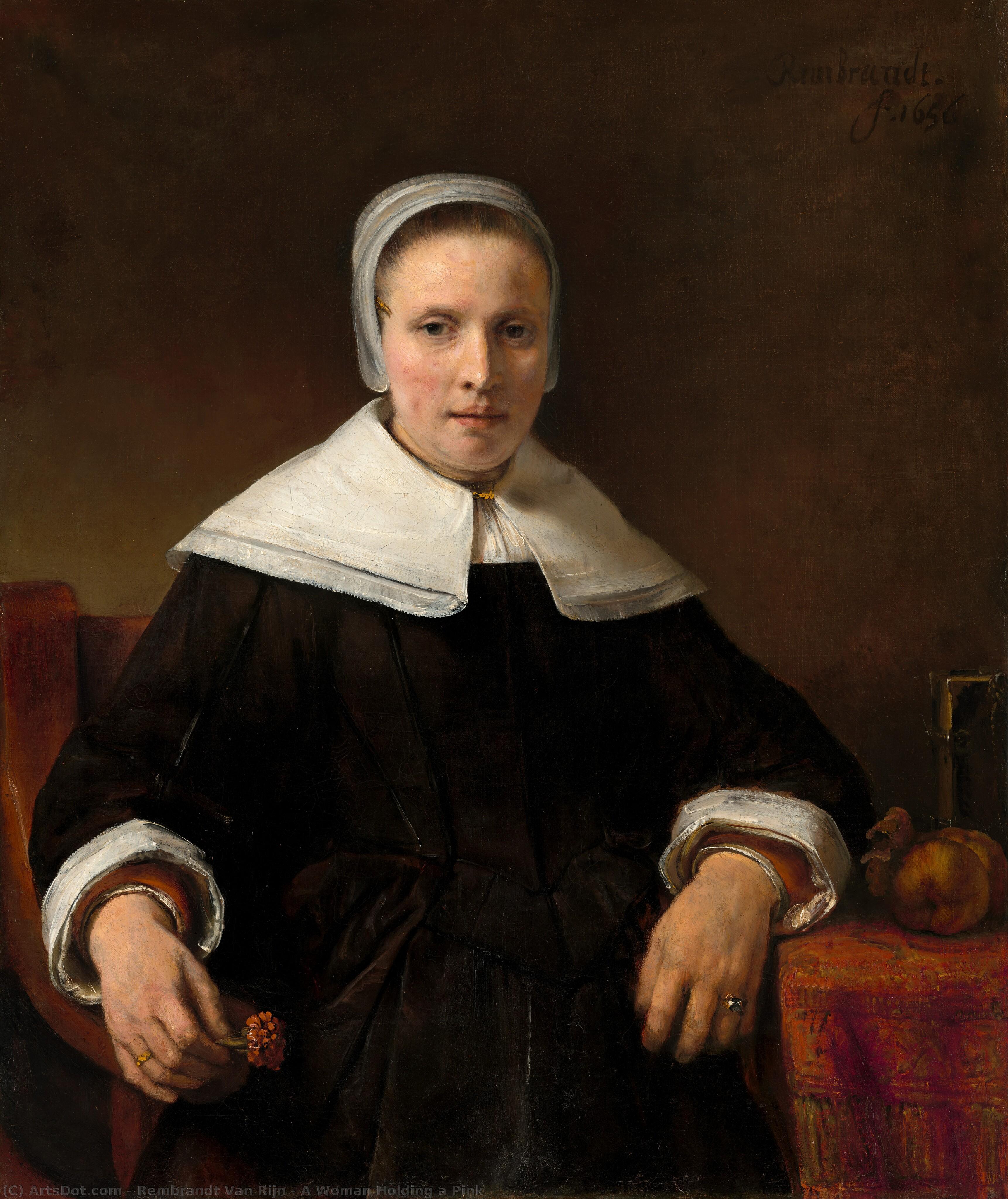 A Woman Holding A Pink — Rembrandt Van Rijn
