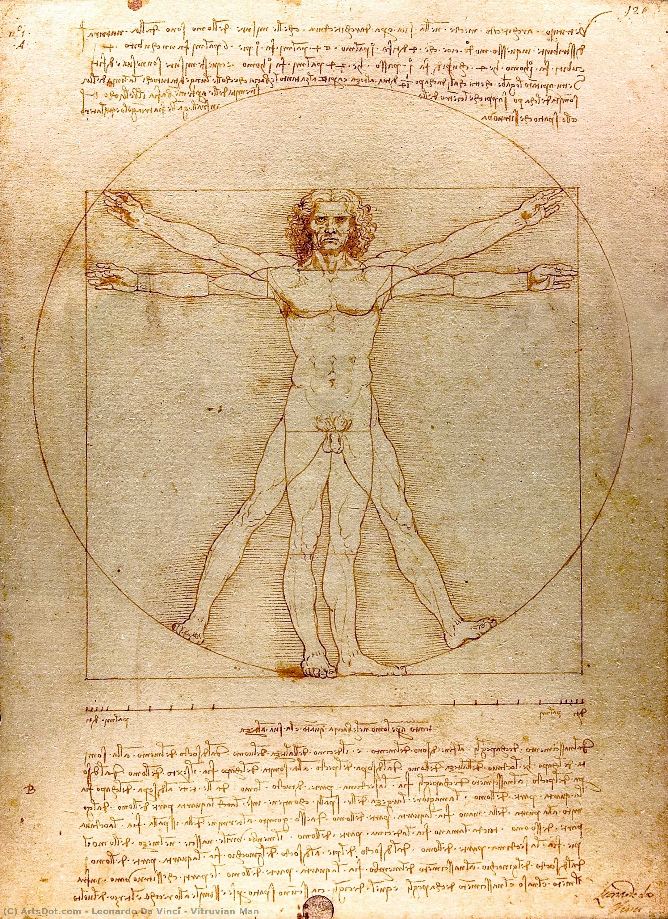 Vitruvian Man — Leonardo Da Vinci