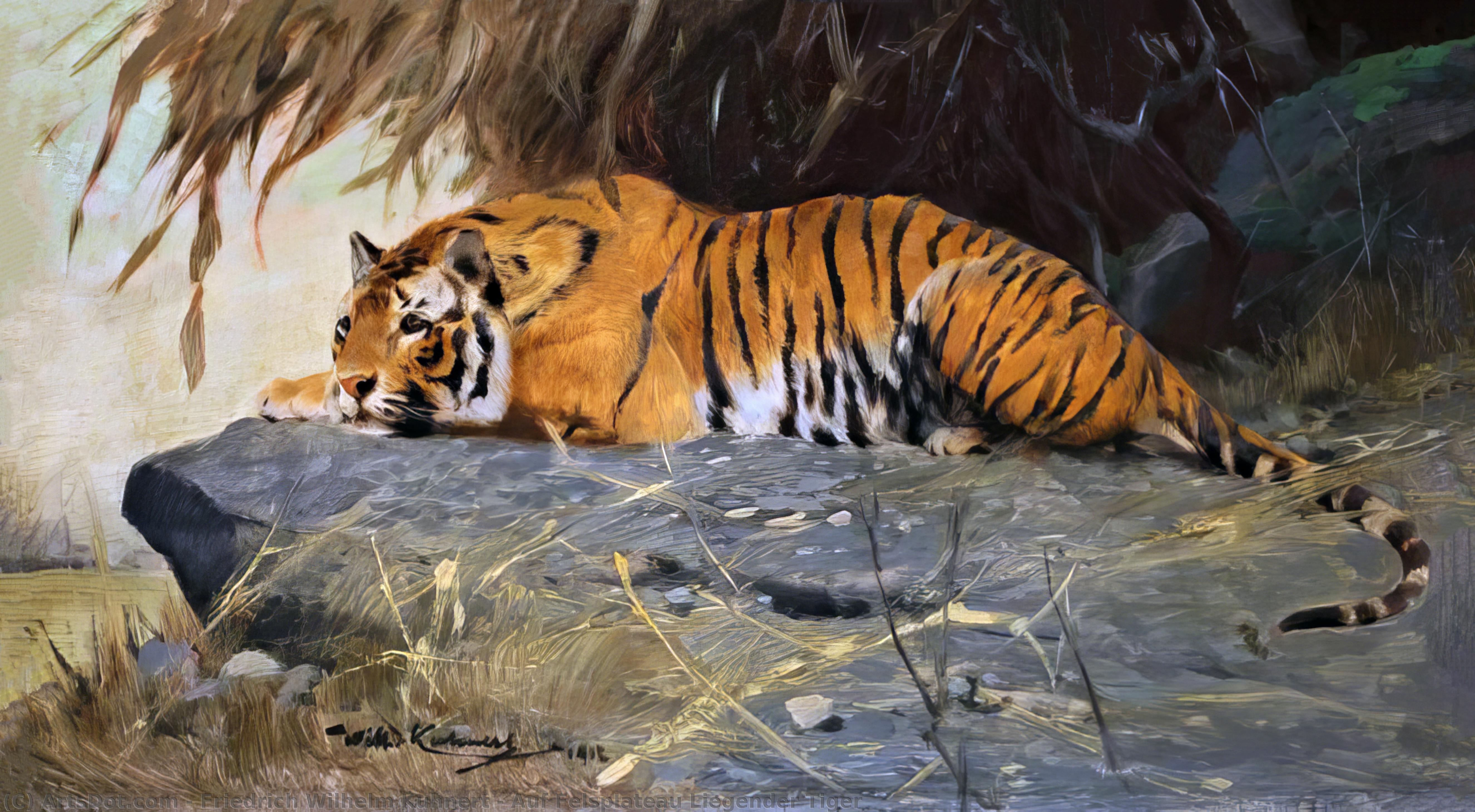 Auf Felsplateau Liegender Tiger — Friedrich Wilhelm Kuhnert