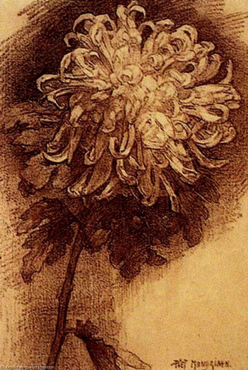 Chrysanthemum 1 — Piet Mondrijan