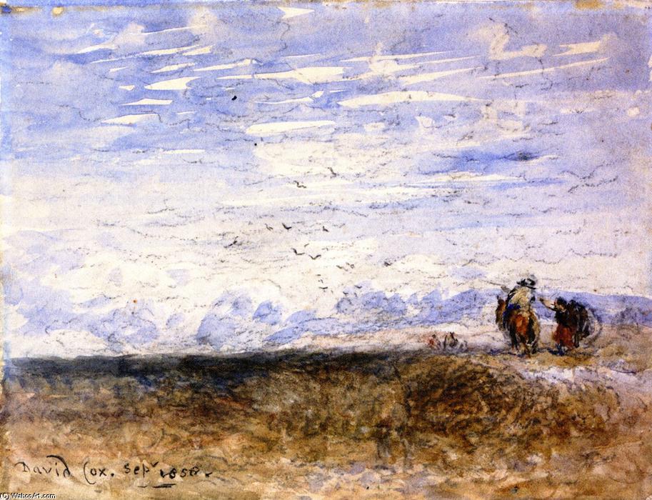 Crossing The Moor — David Cox