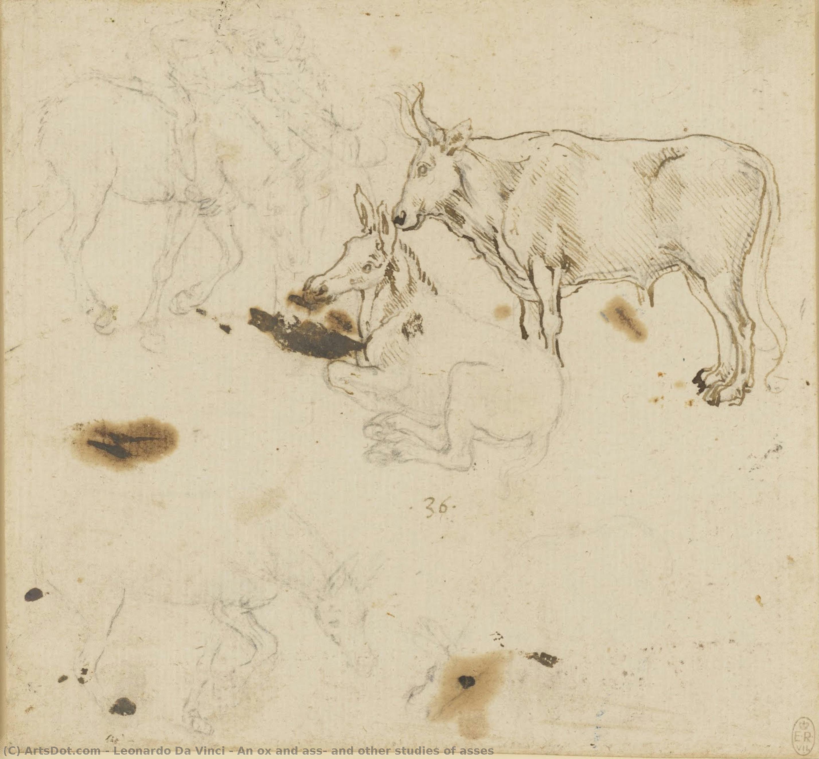 An Ox And Ass, And Other Studies Of Asses — Leonardo Da Vinci
