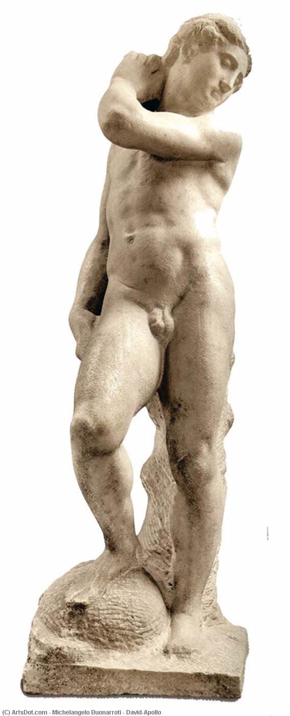 David/apollo — Michelangelo Buonarroti