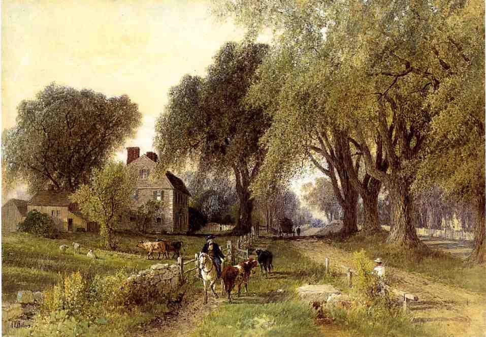 Country Life — Albert Fitch Bellows
