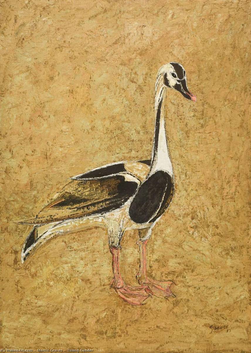 Young Gander — Morris Graves