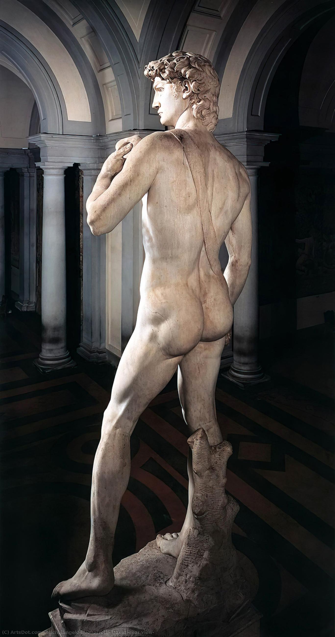 David (rear View) — Michelangelo Buonarroti