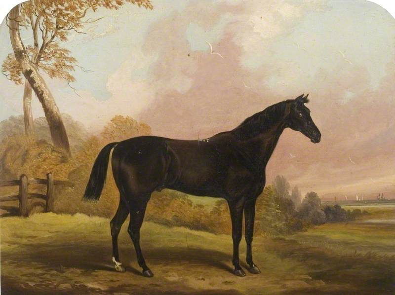 Black Horse — John Vine