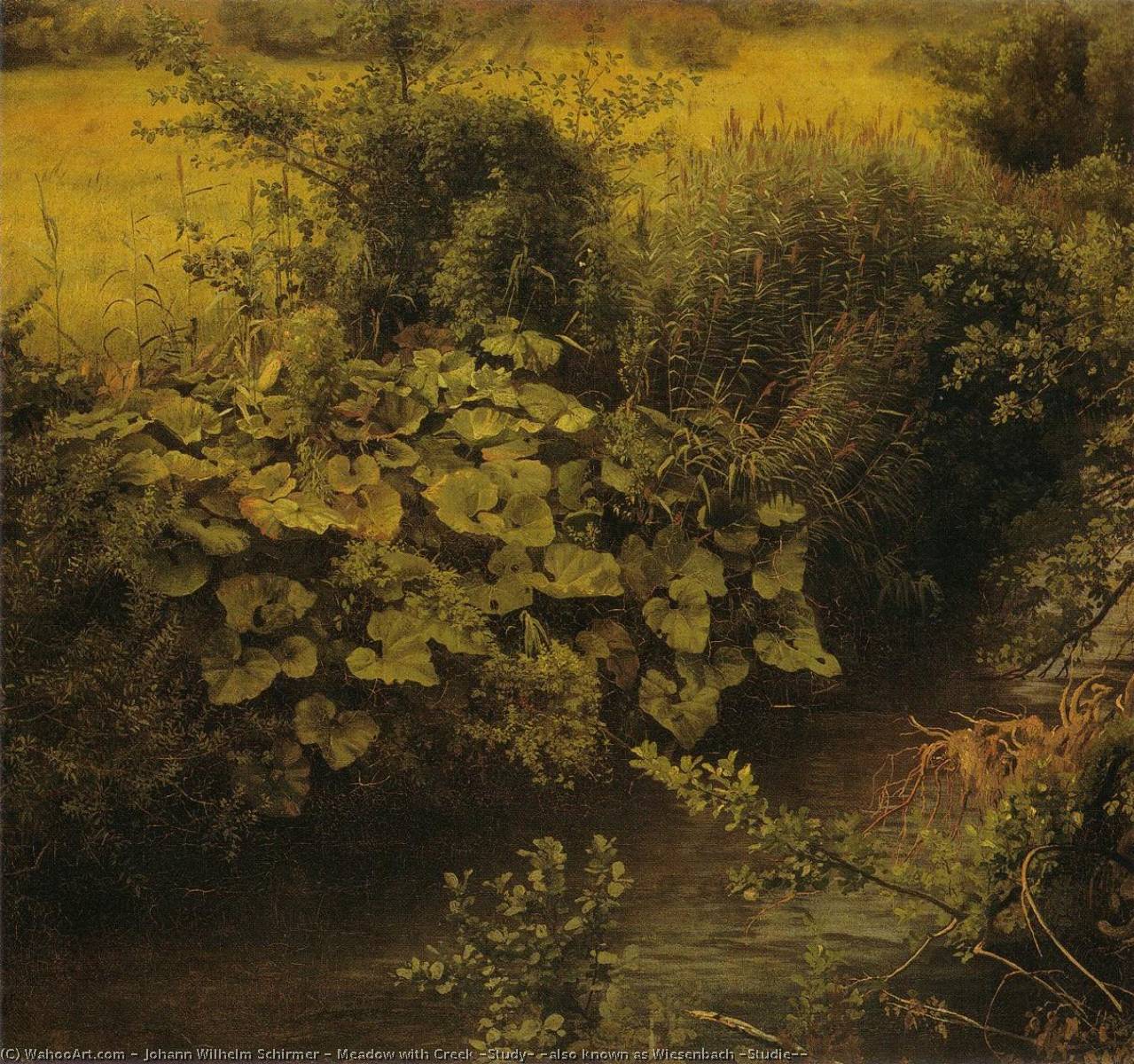 Meadow With Creek (study) (also Known As Wiesenbach (studie)) — Johann Wilhelm Schirmer
