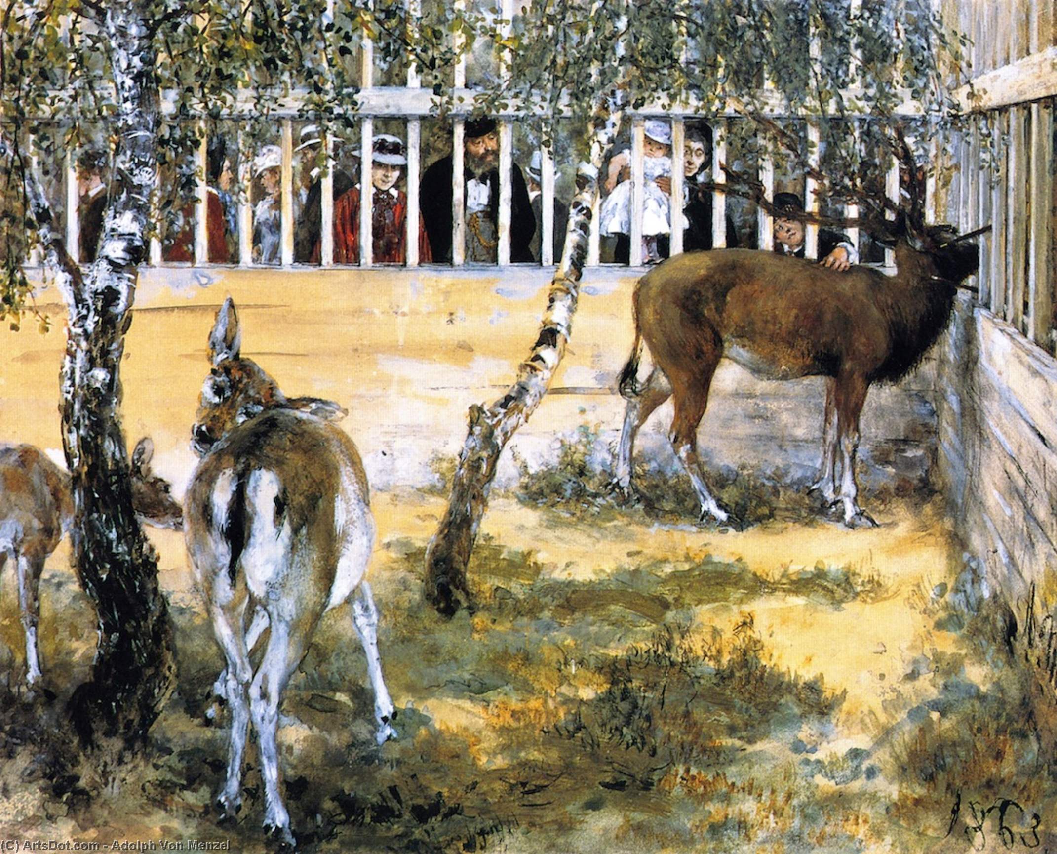 Deer At The Zoo — Adolph Von Menzel