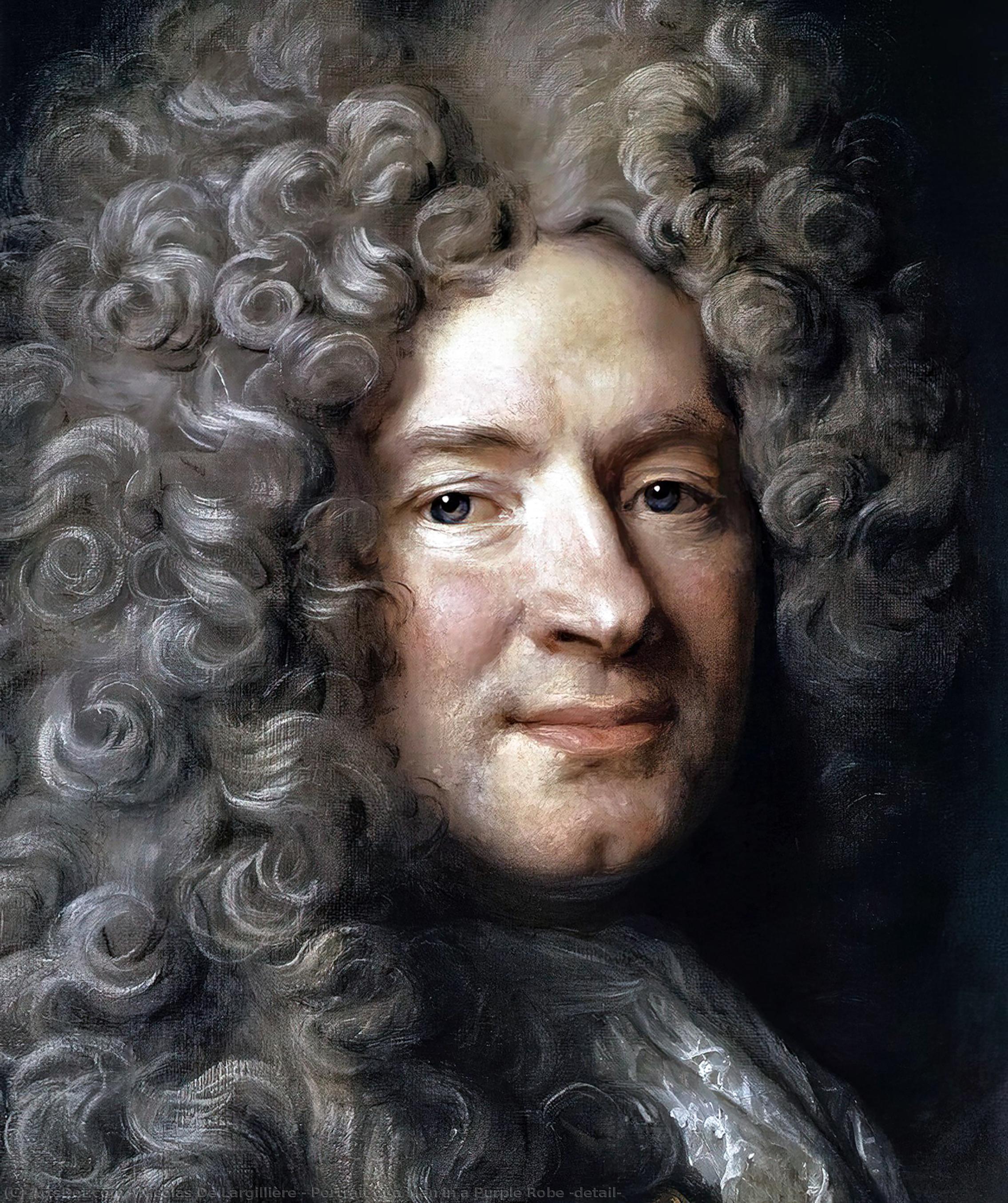 Portrait Of A Man In A Purple Robe (detail) — Nicolas De Largillière