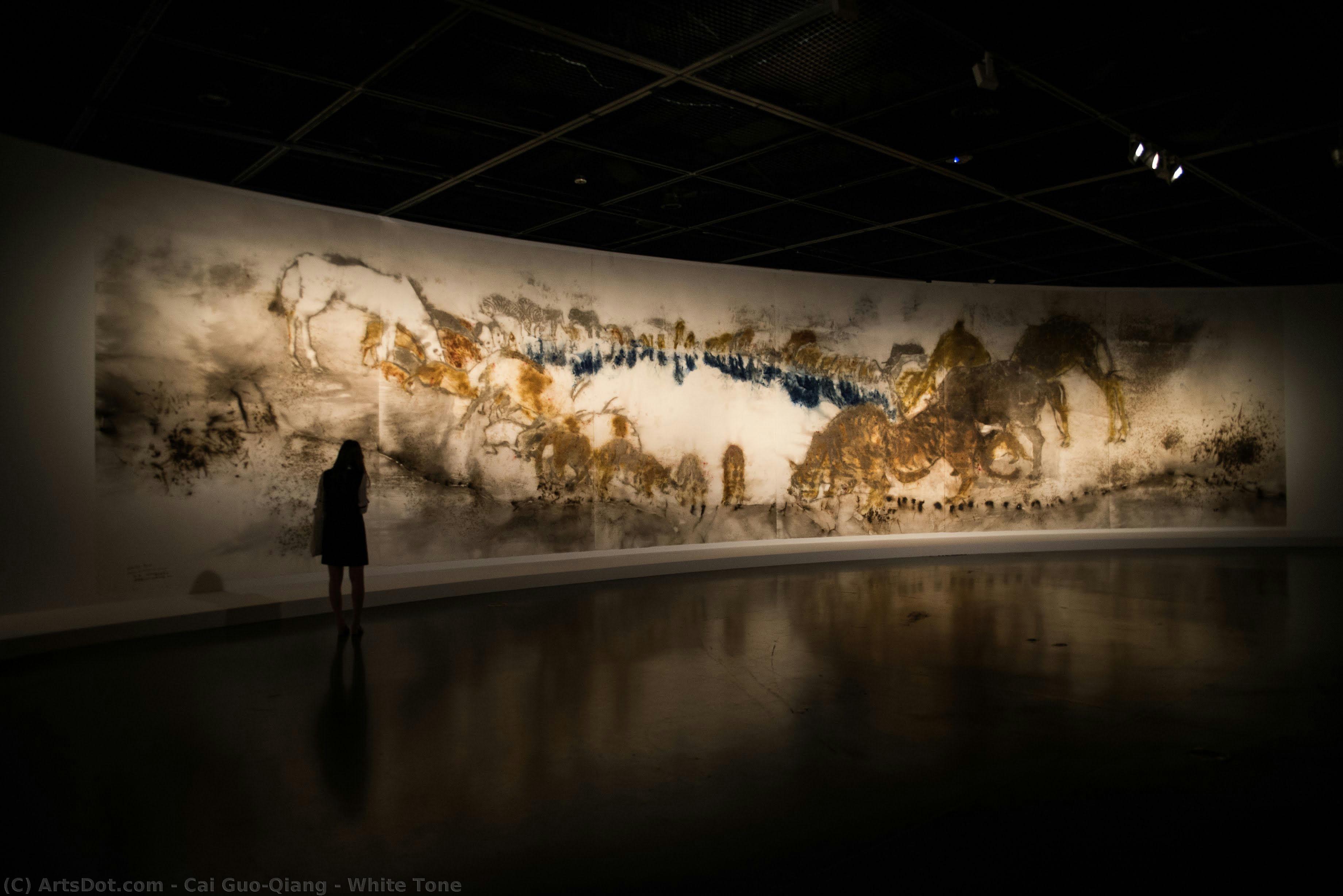 Tono Blanco — Cai Guo-qiang