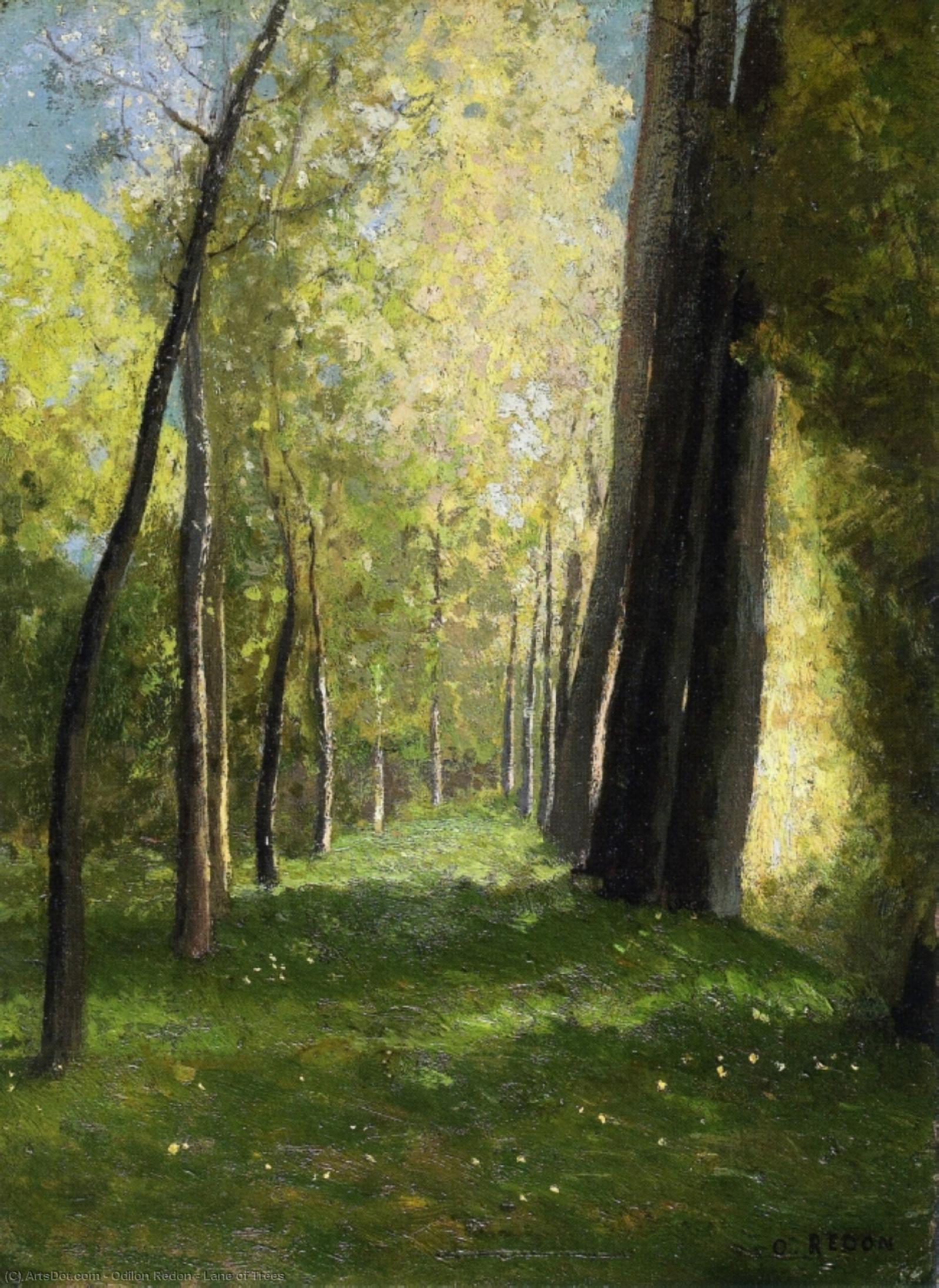 Lane Of Trees — Odilon Redon