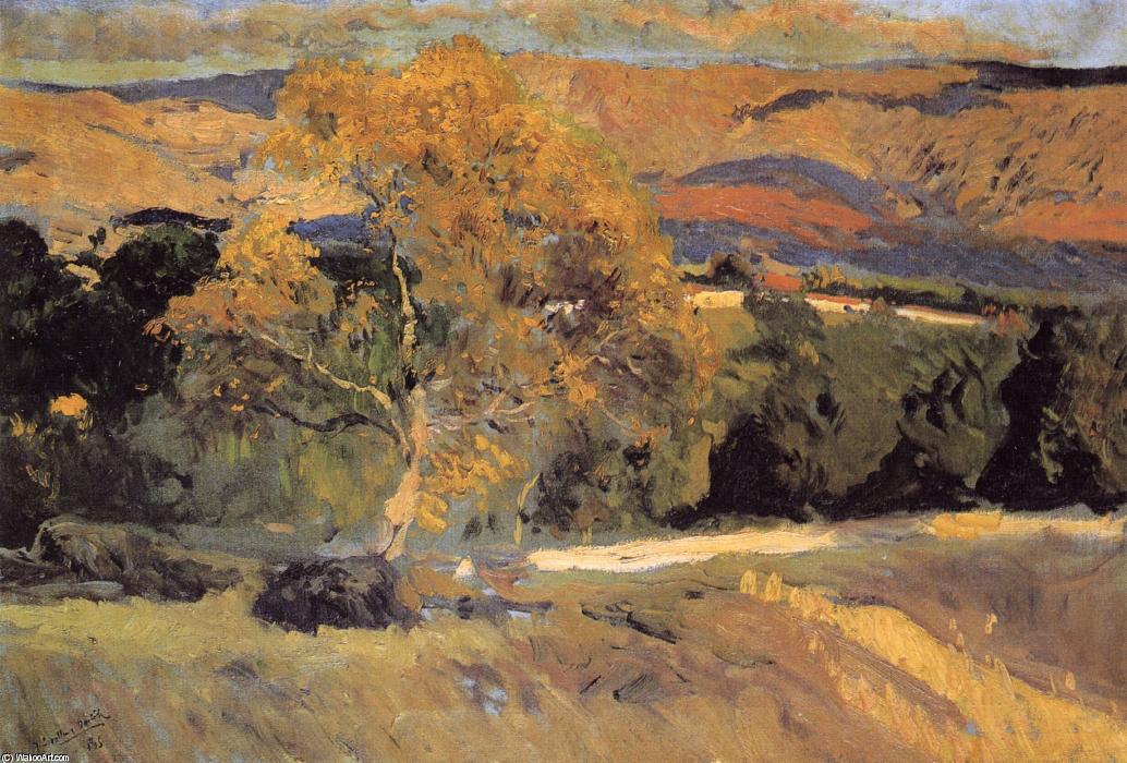 The Yellow Tree, La Granja — Joaquín Sorolla Y Bastida