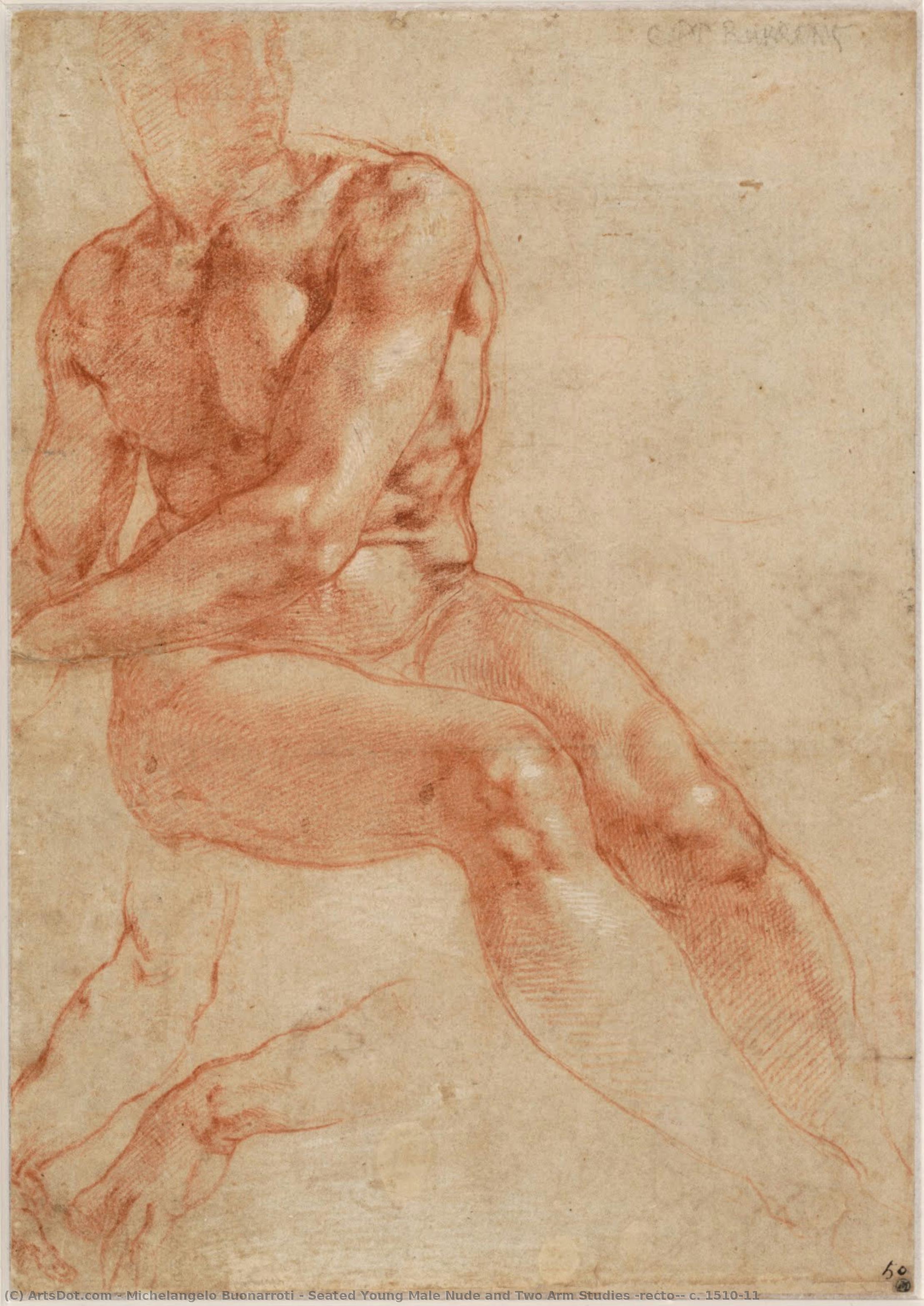 Seated Young Male Nude And Two Arm Studies (recto), C. 1510-11 — Michelangelo Buonarroti