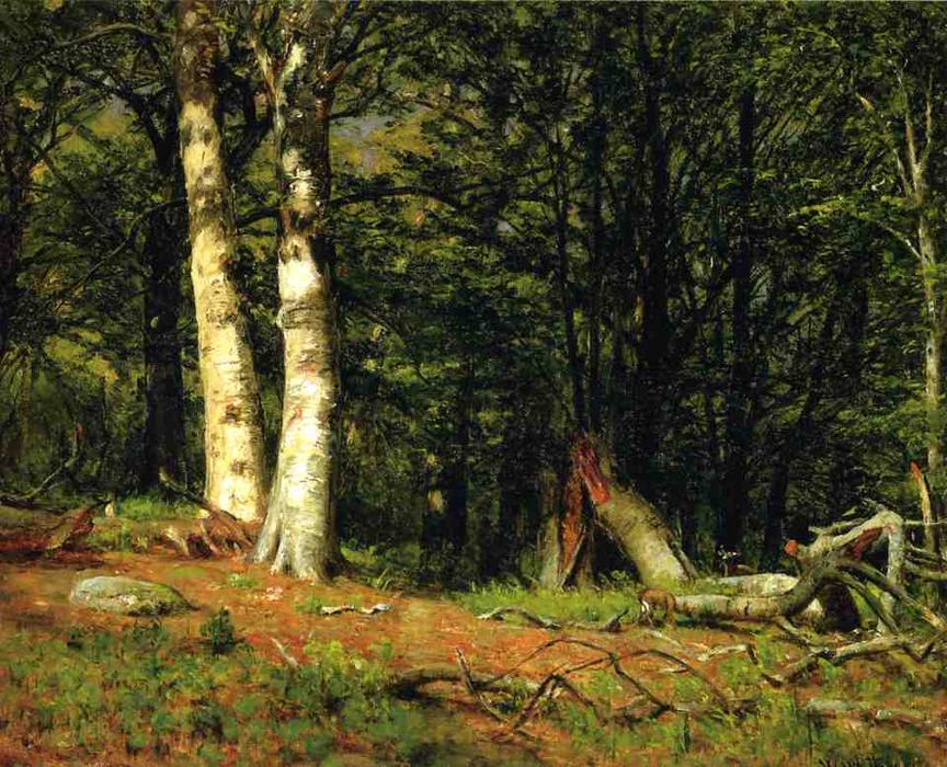 Fallen Birch — Thomas Worthington Whittredge