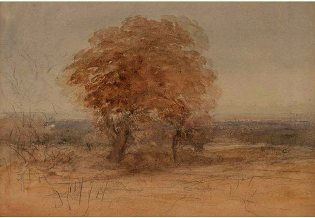 Tree In Landscape; Country Lane; Shore Landscape — David Cox