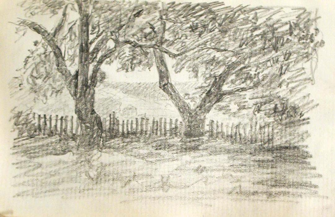 Two Trees And Fence — John Ottis Adams