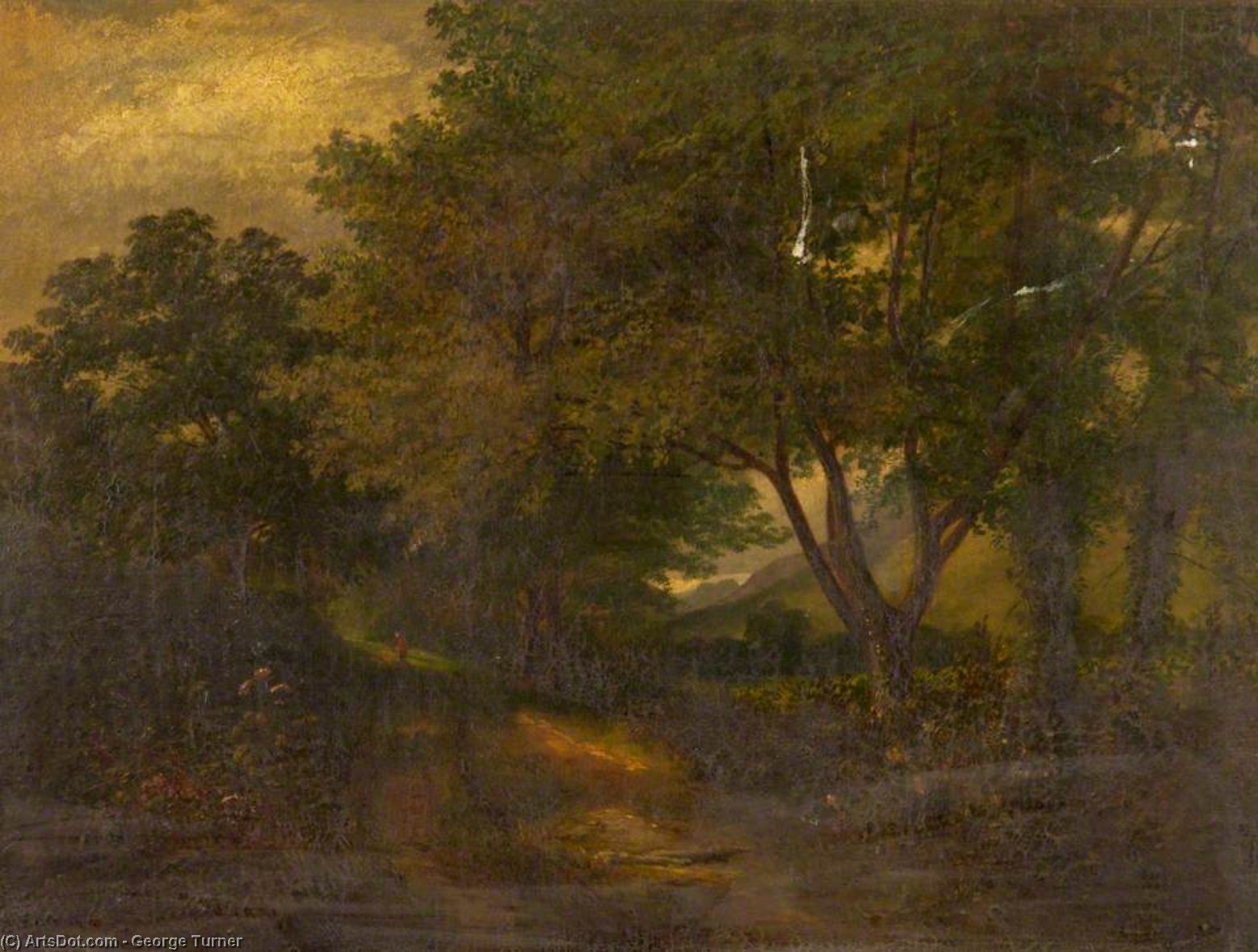Woodland Scene — George Turner
