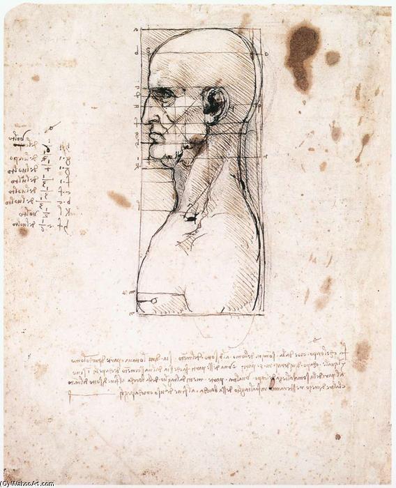 Male Head In Profile With Proportions — Leonardo Da Vinci
