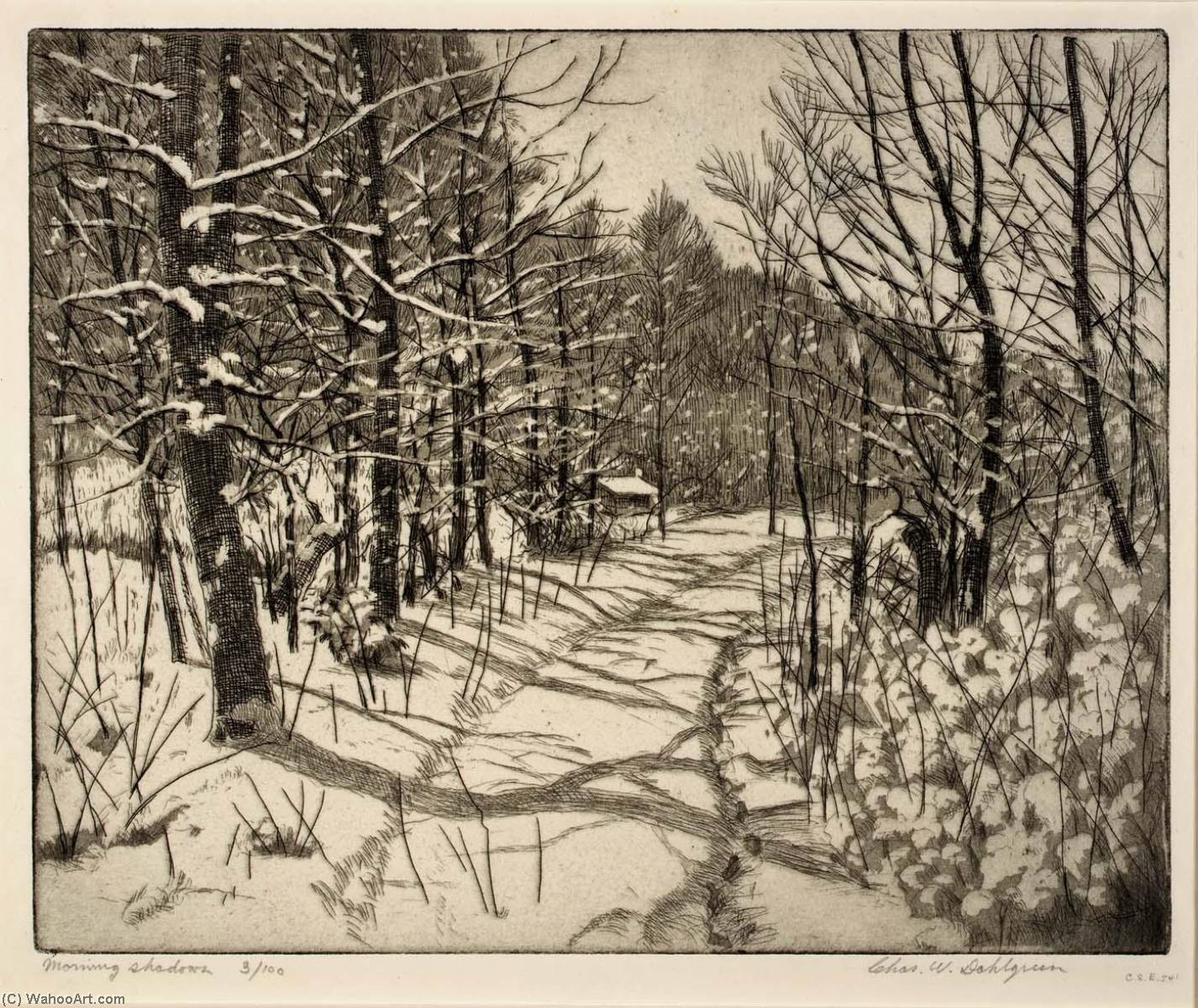 Morning Shadows — Charles W Dahlgreen