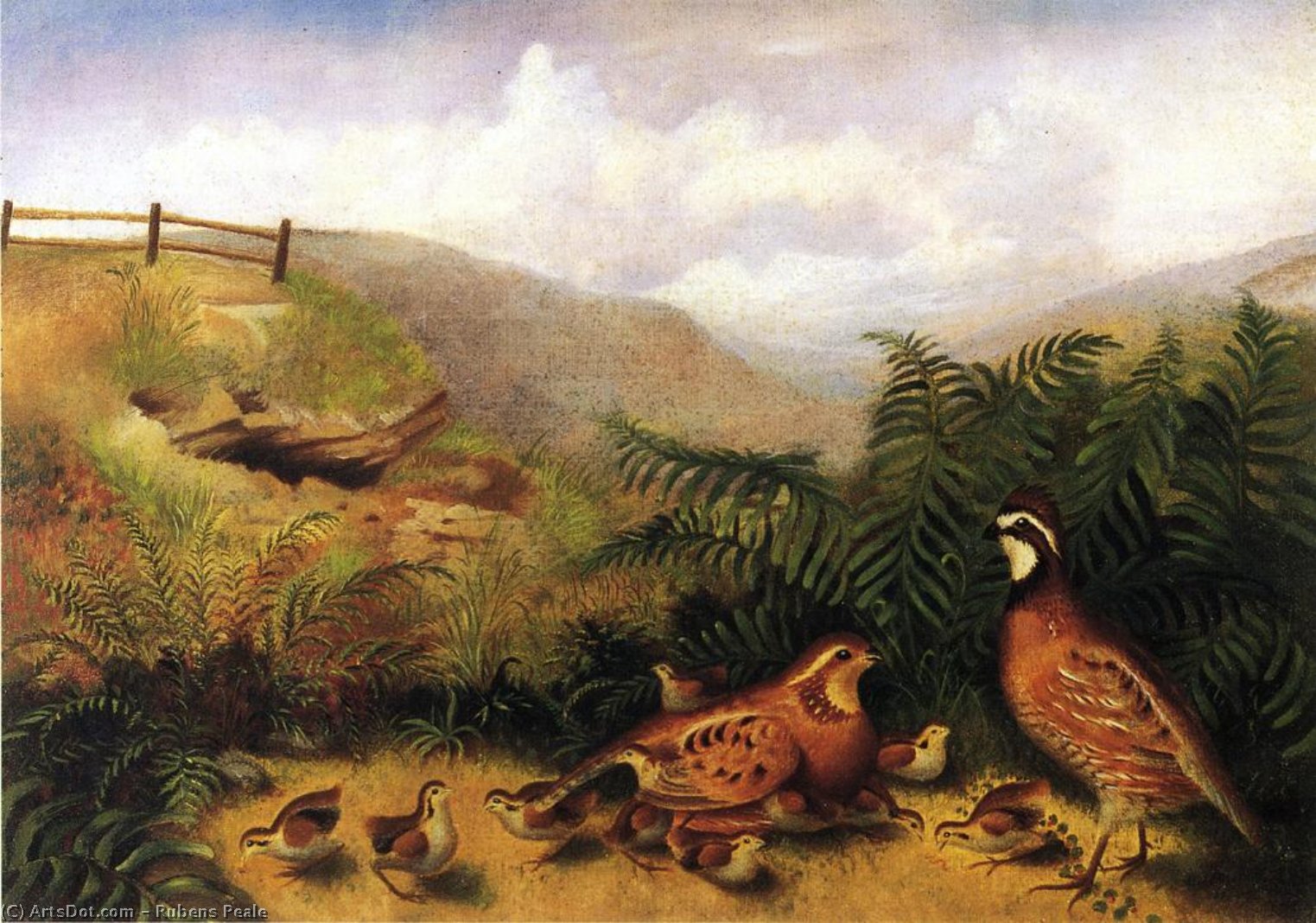 Landscape With Quail - Cock, Hen And Chickens — Rubens Peale