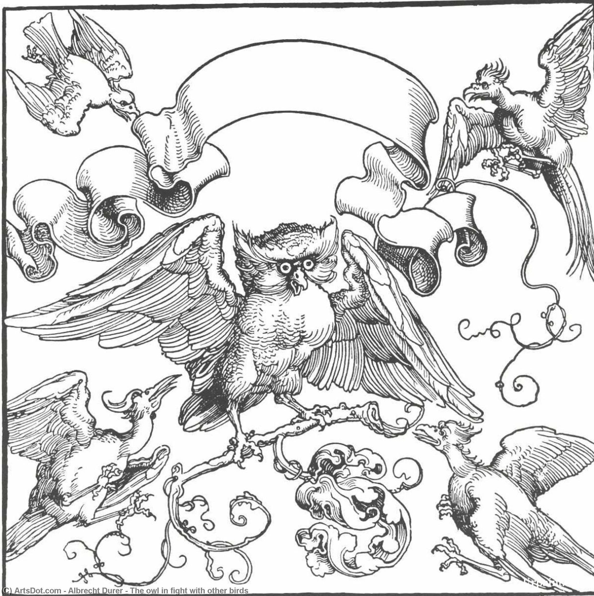 The Owl In Fight With Other Birds — Albrecht Dürer
