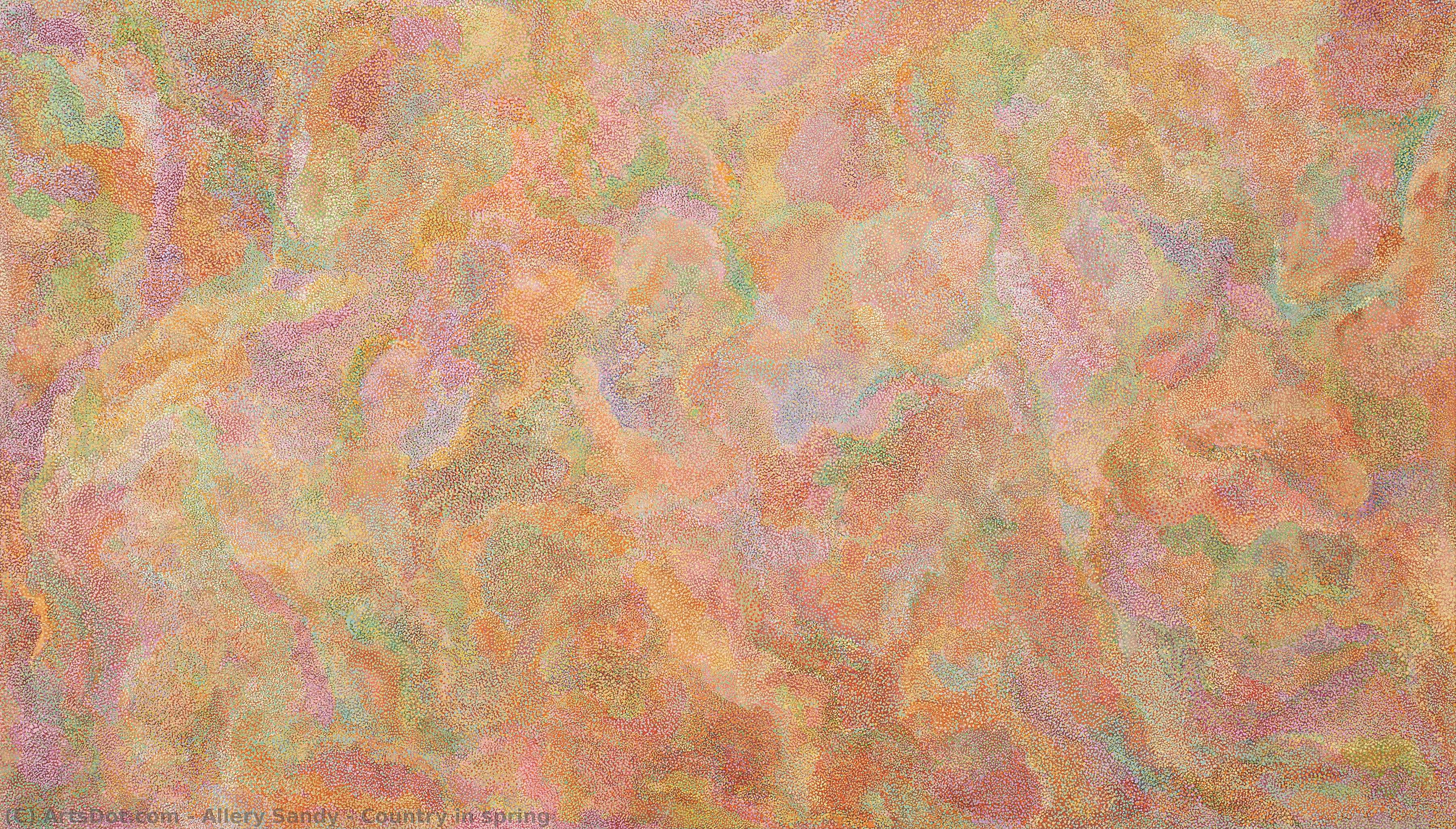 Country In Spring — Allery Sandy