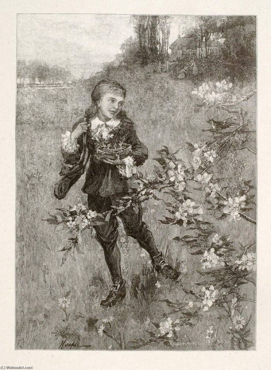 Vogelnester — Henry Wolf