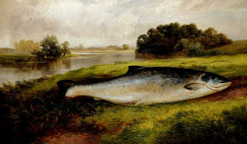 A Salmon Lying On A Riverbank — George Turner