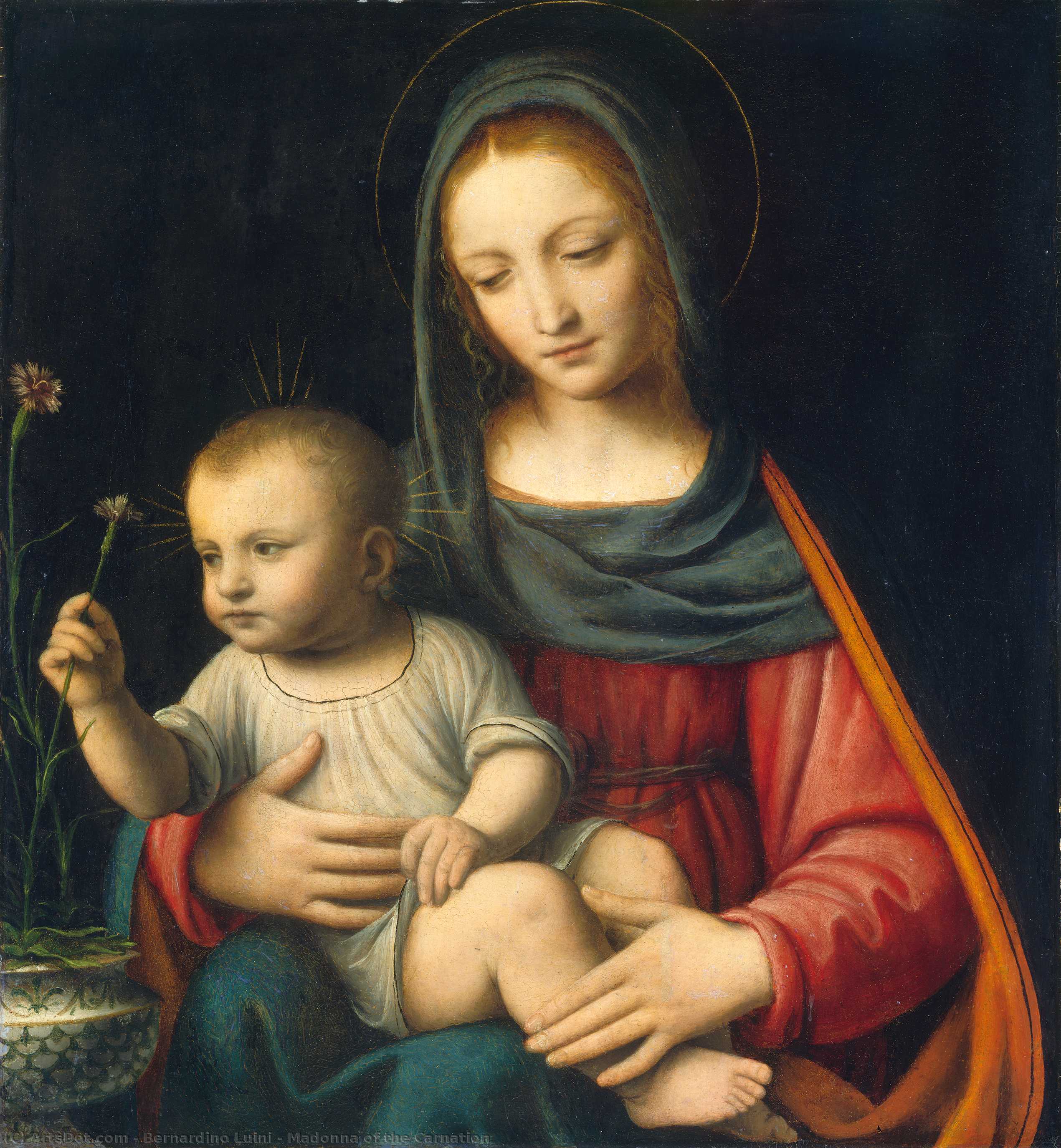 Madonna Of The Carnation — Bernardino Luini