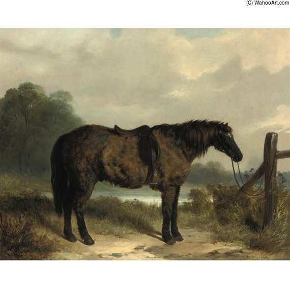 A Rough Pony — William Barraud