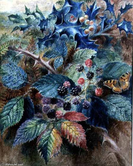 Blackberries And Holly With A Butterfly — Albrecht Dürer