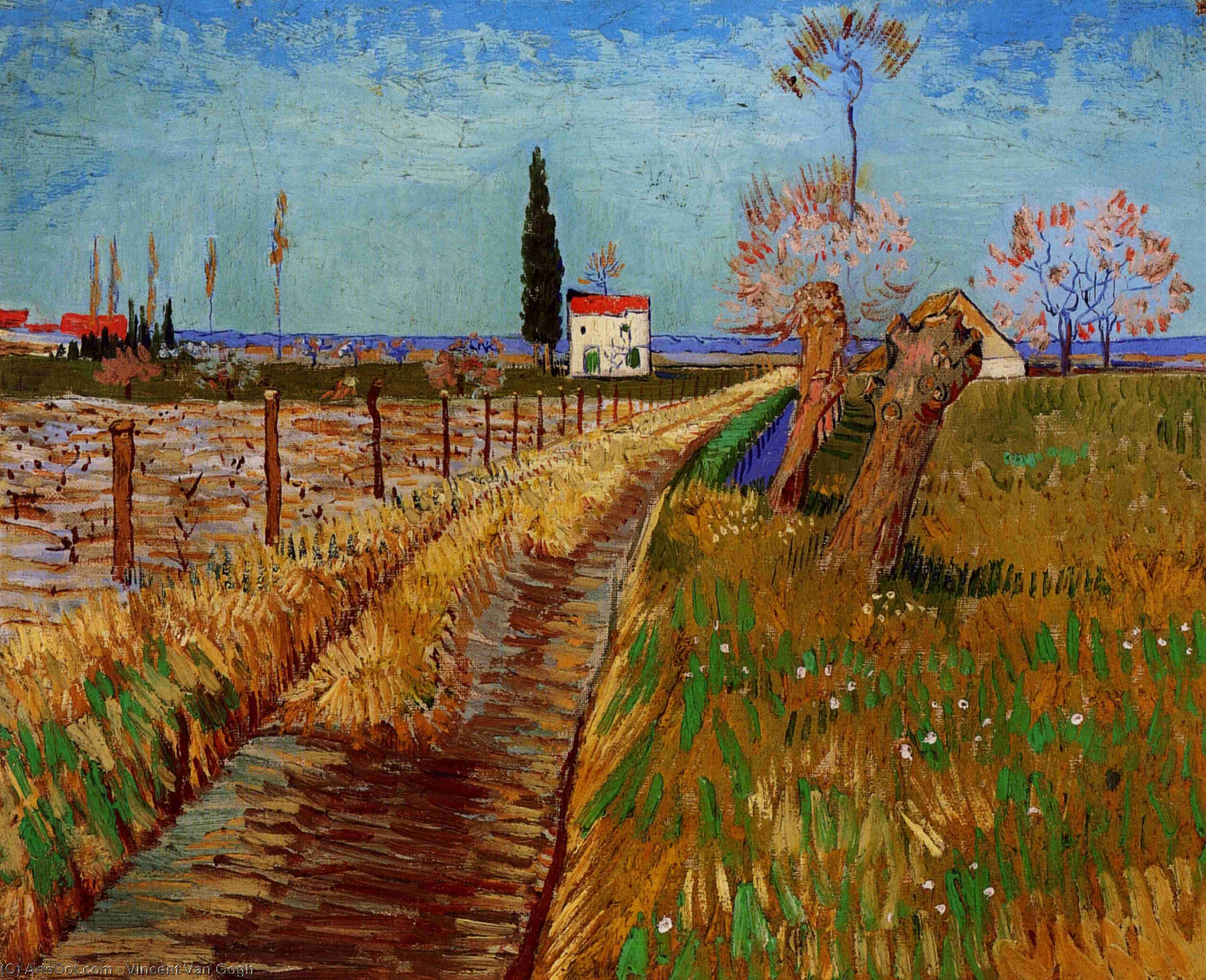 Path Through A Field With Willows — Vincent Willem Van Gogh