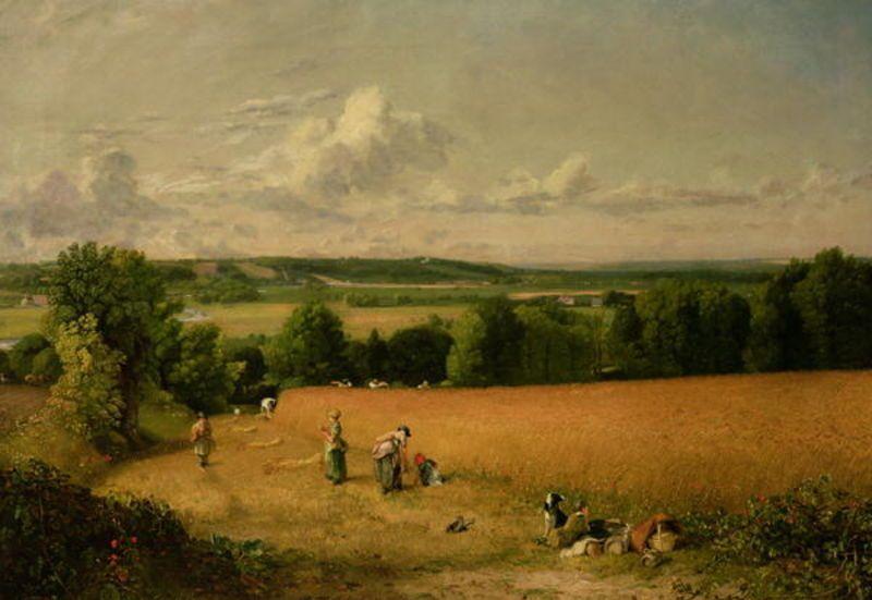 Wheat Field — John Constable