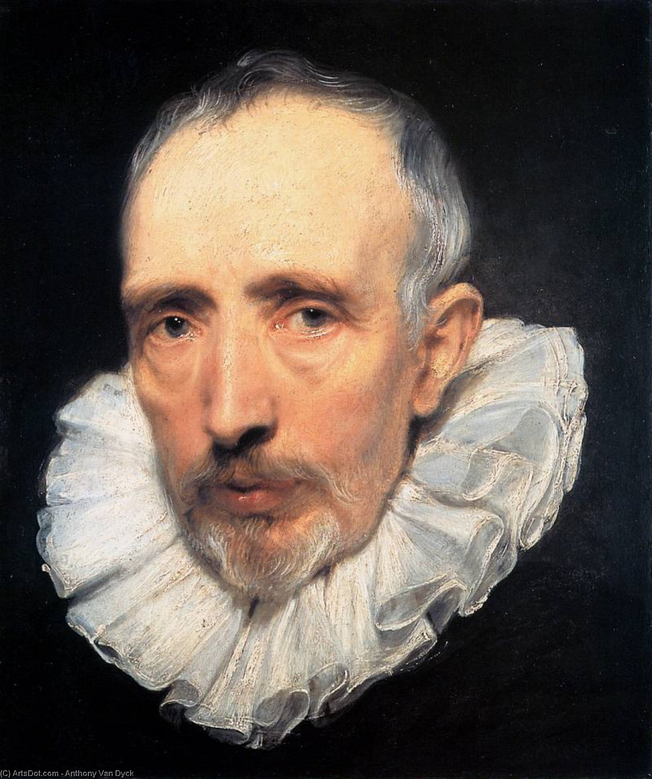 Antoon Cornelis Van Der Geest Sun — Sir Anthony Van Dyck