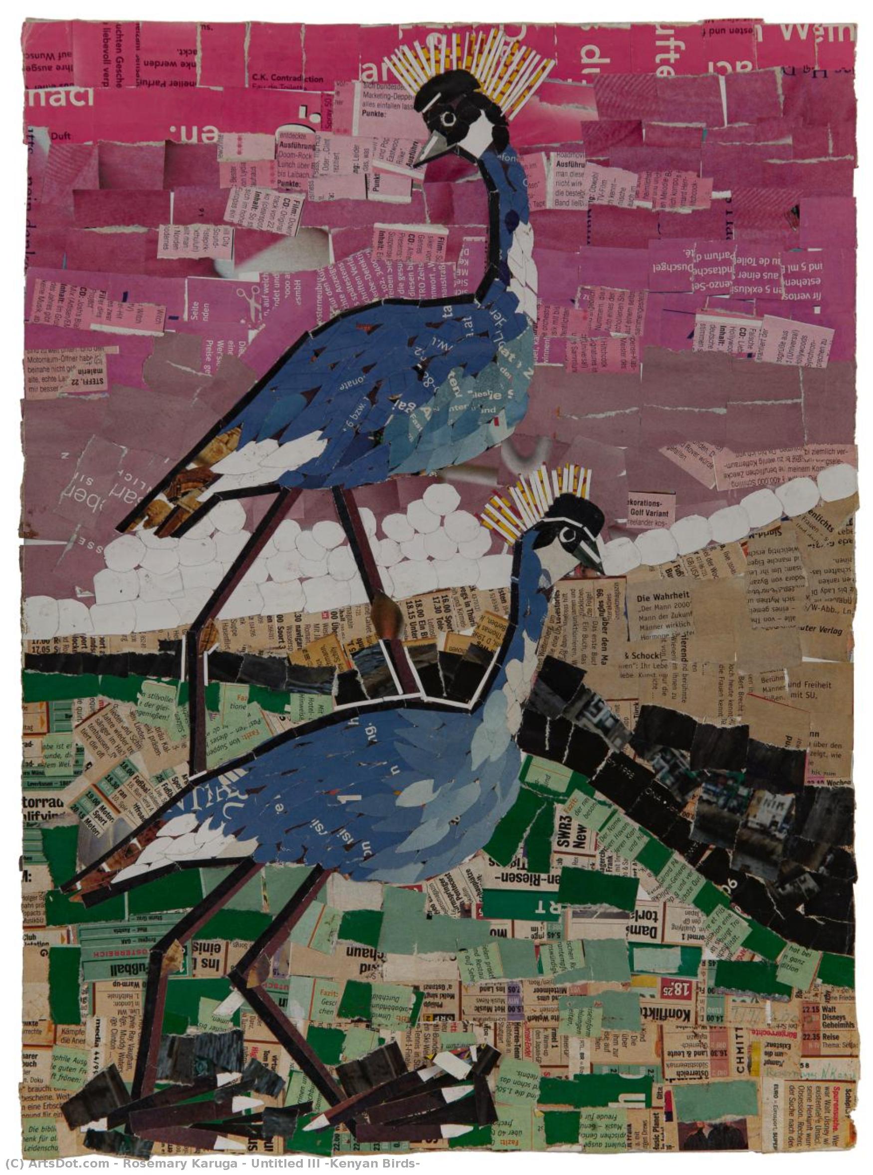 Untitled Iii (kenyan Birds) — Rosemary Karuga