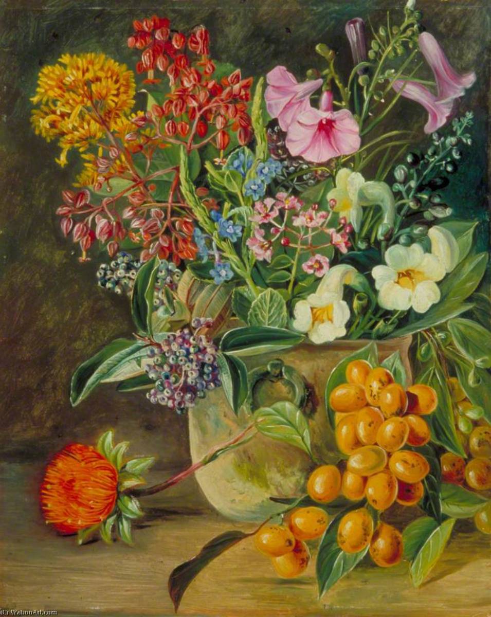 Group Of Brazilian Forest Wild Flowers And Berries — Marianne North