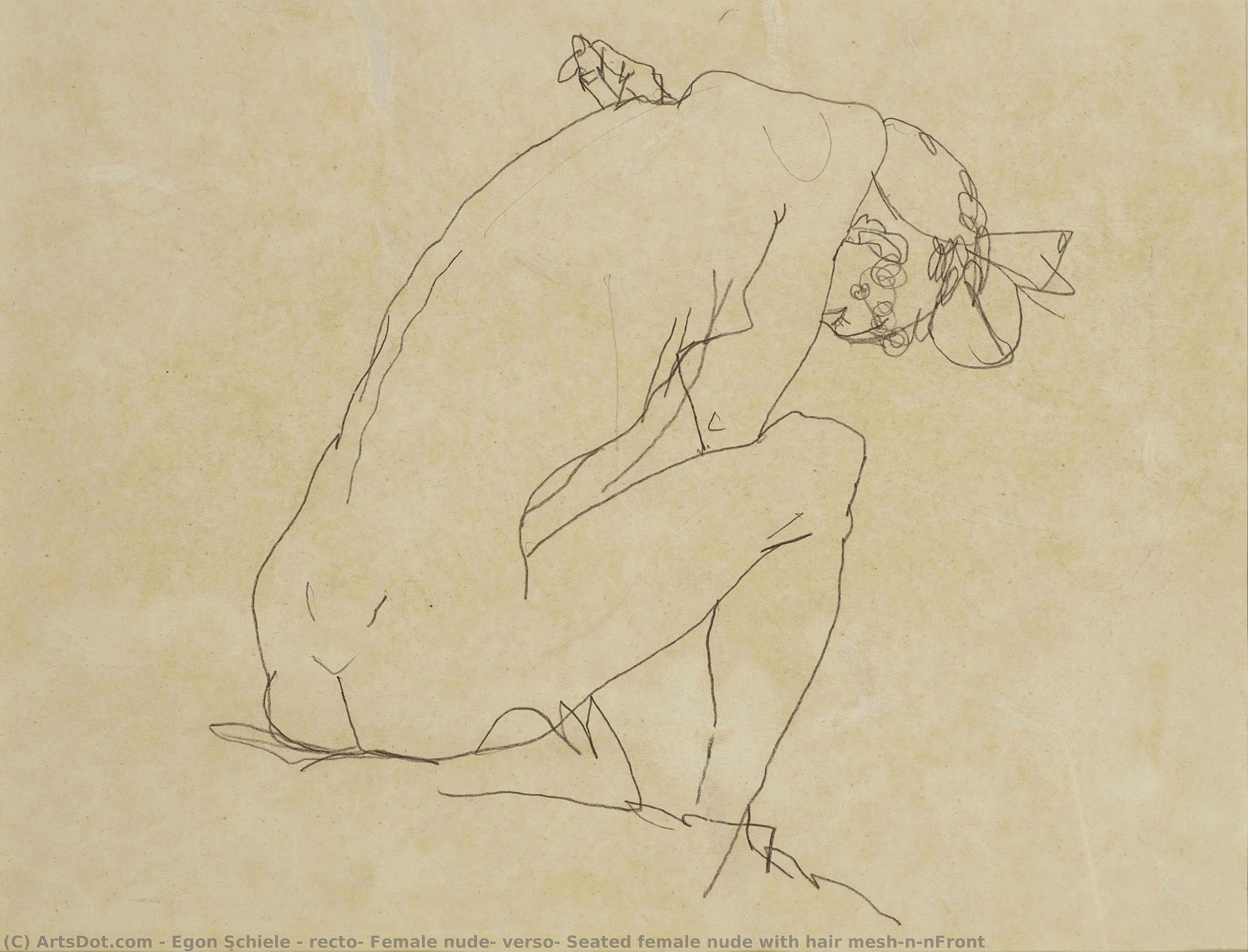 Recto: Female Nude; Verso: Seated Female Nude With Hair Mesh\n\nfront — Egon Schiele