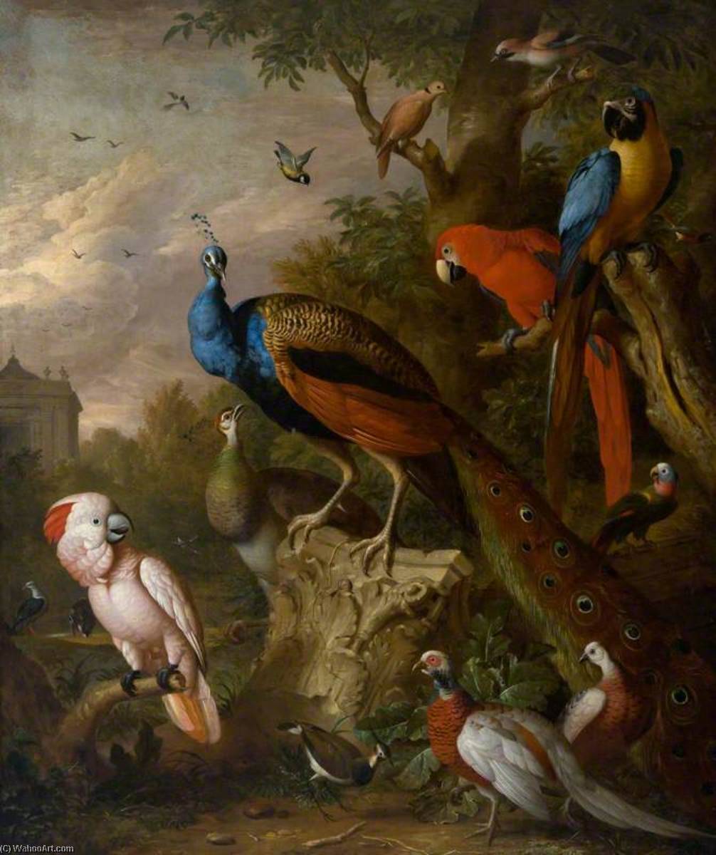 Peacocks And Other Exotic Birds — Jakab Bogdány
