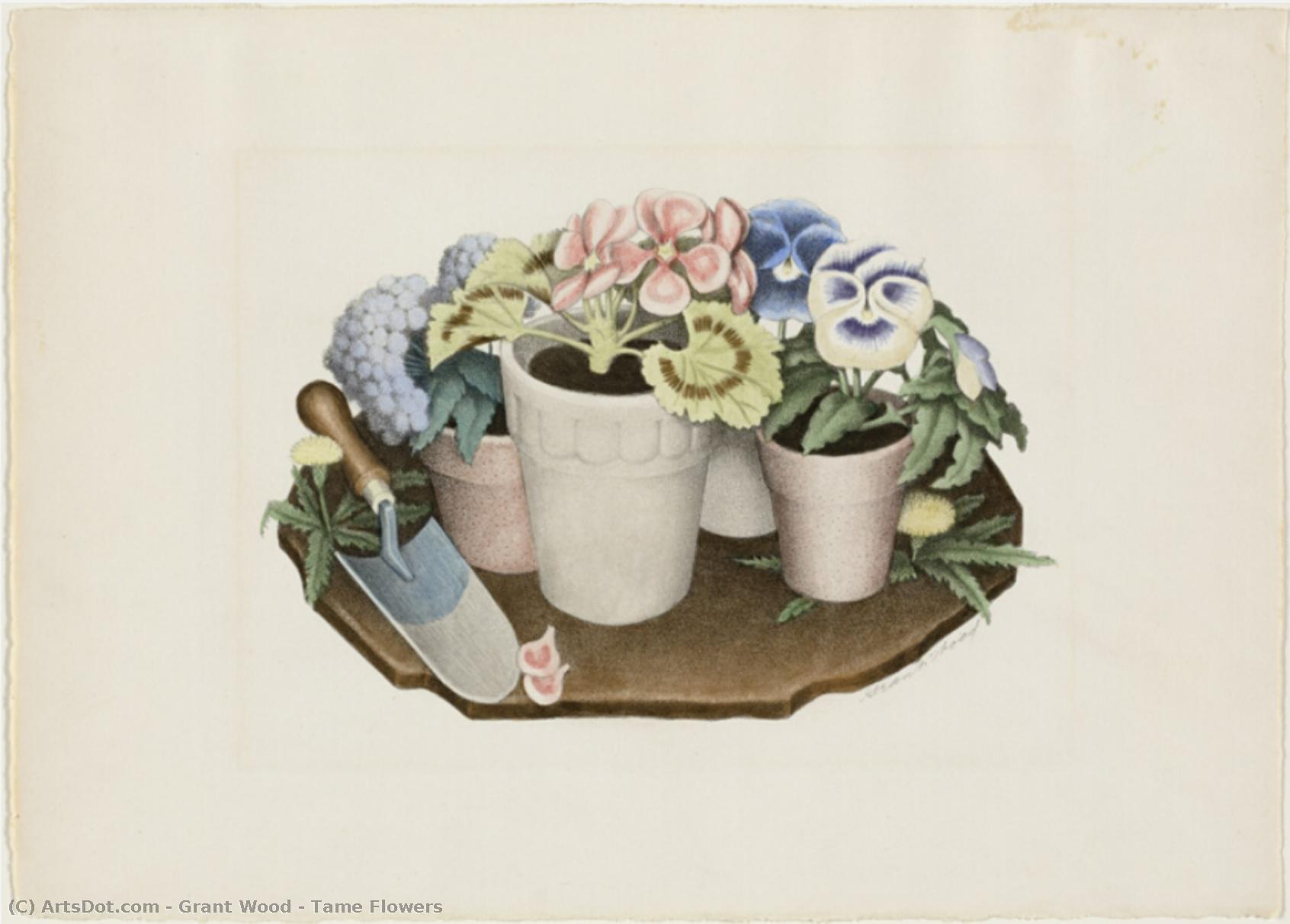 Tame Flowers — Grant Wood