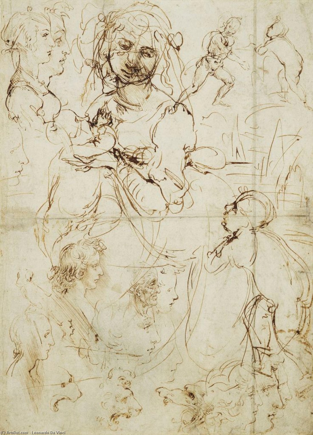 Study For The Madonna With The Fruitbasket — Leonardo Da Vinci