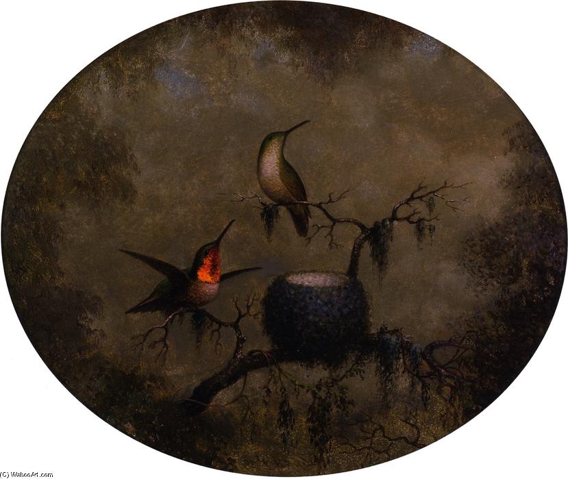Hummingbirds And Their Nest — Martin Johnson Heade