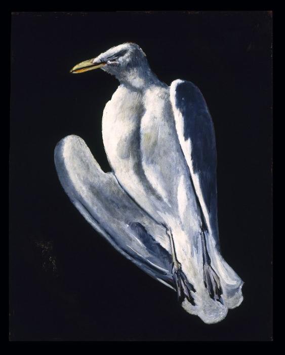 Gull — Marsden Hartley