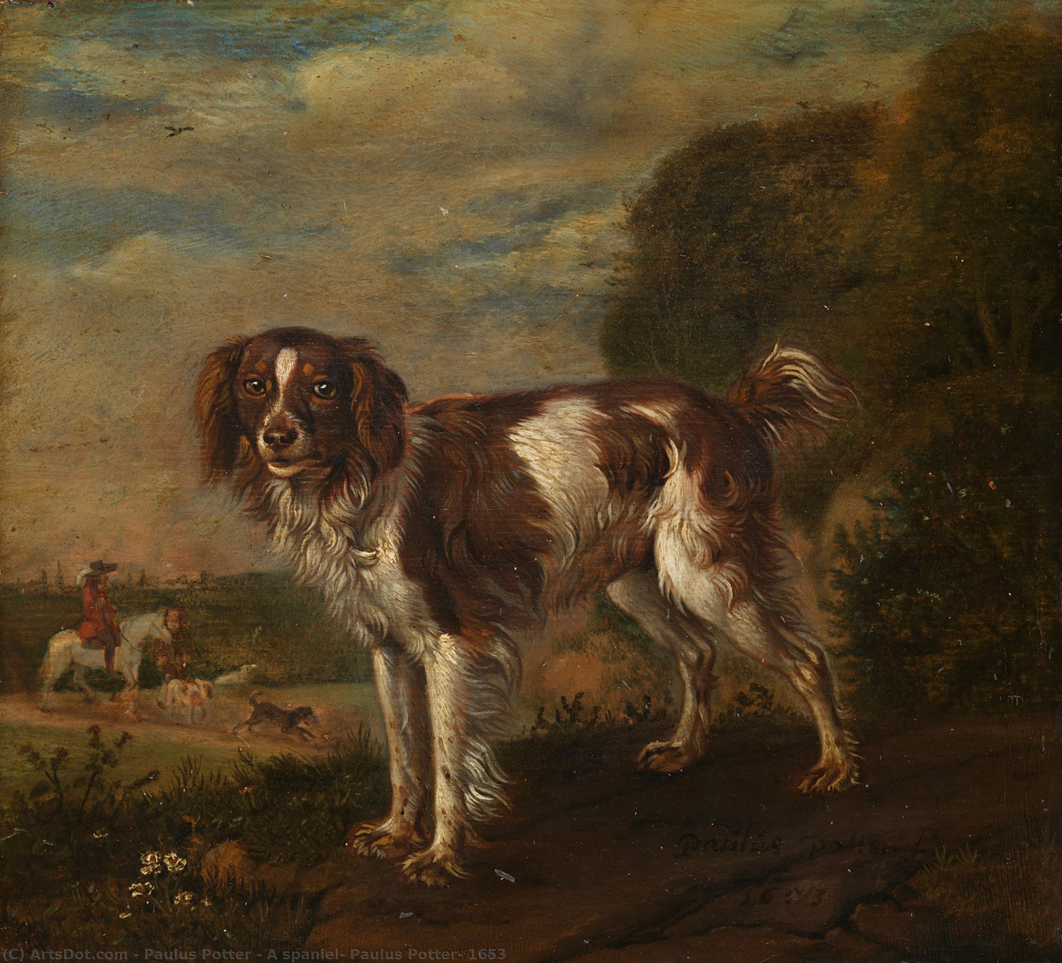 A Spaniel, Paulus Potter, 1653 — Paulus Potter