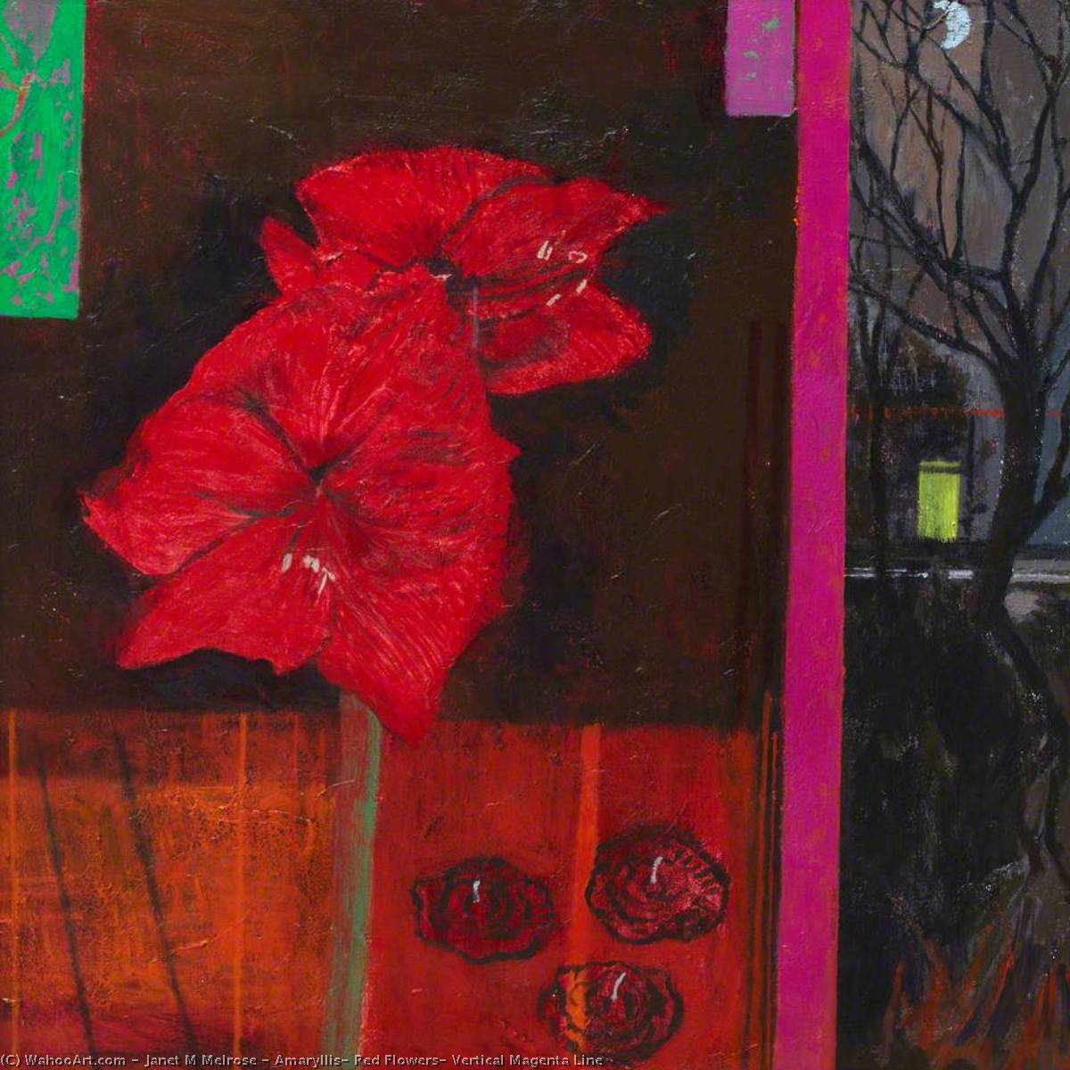 Amaryllis, Red Flowers, Vertical Magenta Line — Janet Melrose